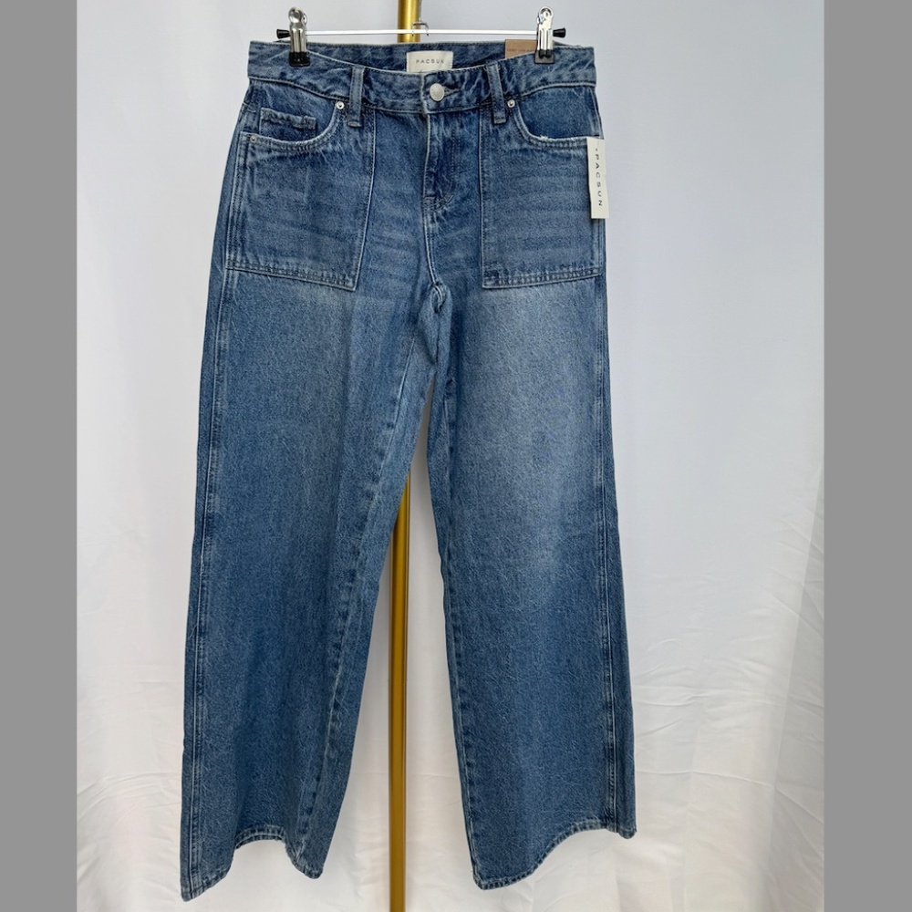Pacsun Casey Low Rise Baggy Wide Leg Denim Jeans